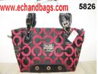 Hot woman's Handbags, big brand coach, LV, burberry