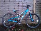 Childs Mountain Bike For Sale